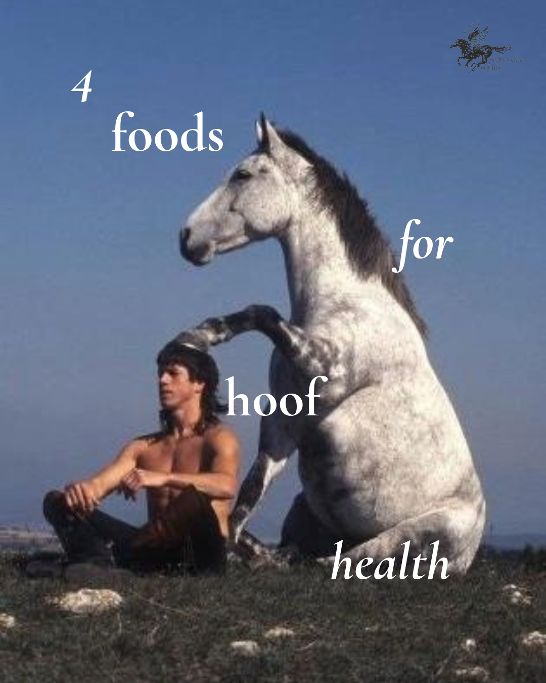 4 Foods for Hoof Health